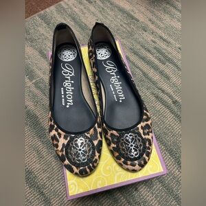Brighton shoes